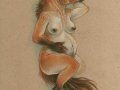 a_1231788373639_Przewalski_mother_by_thornwolf.jpg